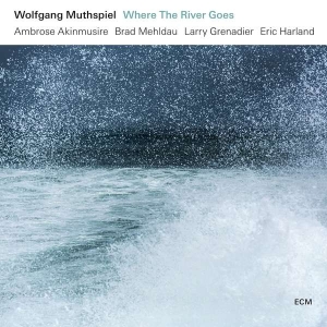 Muthspiel Wolfgang - Where The River Goes ryhmässä CD @ Bengans Skivbutik AB (3310349)