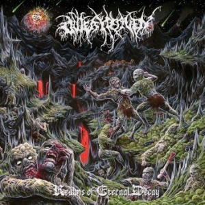 Outer Heaven - Realms Of Eternal Decay ryhmässä CD @ Bengans Skivbutik AB (3317253)