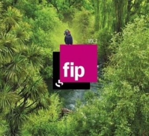 Various Artists - Fip Vol.2 ryhmässä CD @ Bengans Skivbutik AB (3317333)