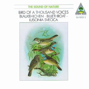 Natural Sound Recorded By Walter Ti - Bluethroat (Luscinia Svenica) - Bir ryhmässä CD @ Bengans Skivbutik AB (3322409)