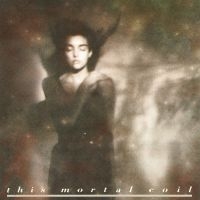 This Mortal Coil - It'll End In Tears (Remastered) ryhmässä VINYYLI @ Bengans Skivbutik AB (3322685)