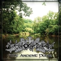 Nechochwen - The Ancient Pulse ryhmässä CD @ Bengans Skivbutik AB (3323251)