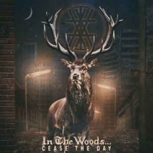 In The Woods - Cease The Day (2 Lp) ryhmässä VINYYLI @ Bengans Skivbutik AB (3329453)