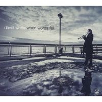 Weiss David - When Words Fail ryhmässä CD @ Bengans Skivbutik AB (3334939)