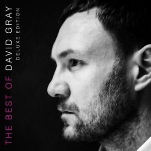 Gray David - Best Of David Gray (+ Bok) ryhmässä Minishops / David Gray @ Bengans Skivbutik AB (3339984)