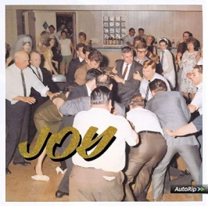 Idles - Joy As An Act Of Resistance ryhmässä ME SUOSITTELEMME / Bäst Album Under 10-talet / Bäst Album Under 10-talet - Classic Rock @ Bengans Skivbutik AB (3464541)