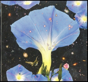 Louise Sarah - Nighttime Birds And Morning Stars ryhmässä VINYYLI @ Bengans Skivbutik AB (3476066)