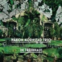 Kornstad Håkon - Im Triebhaus ryhmässä CD @ Bengans Skivbutik AB (3478291)