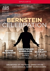 Bernstein Leonard - Bernstein Celebration (Dvd) ryhmässä DVD & BLU-RAY @ Bengans Skivbutik AB (3484719)