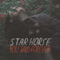 STAR HORSE - YOU SAID FOREVER ryhmässä VINYYLI @ Bengans Skivbutik AB (3495817)