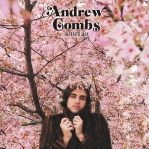 Combs Andrew - Worried Man ryhmässä CD @ Bengans Skivbutik AB (3496844)