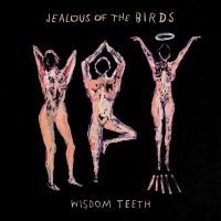 Jealous Of The Birds - Wisdom Teeth ryhmässä CD @ Bengans Skivbutik AB (3498257)