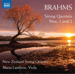 Brahms Johannes - String Quintets Nos. 1 And 2 ryhmässä ME SUOSITTELEMME / Joululahjavinkki: CD @ Bengans Skivbutik AB (3509824)