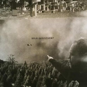 Sole - Destituent ryhmässä VINYYLI @ Bengans Skivbutik AB (3510737)