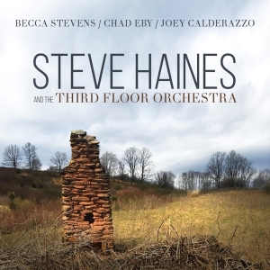 Haines Steve And The Third Floor Orchestra - Steve Haines And The Third Floor Orchestra ryhmässä CD @ Bengans Skivbutik AB (3510922)