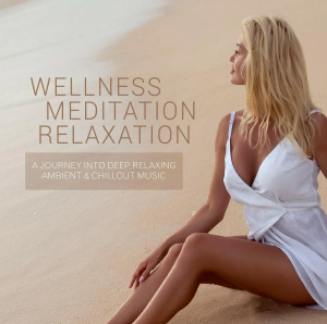 Blandade Artister - Wellness - Meditation - Relaxation ryhmässä CD @ Bengans Skivbutik AB (3511833)