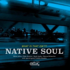 Native Soul - What Is That Isn't? ryhmässä CD @ Bengans Skivbutik AB (3511883)