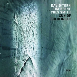 Torn David - Sun Of Goldfinger ryhmässä ME SUOSITTELEMME / Årsbästalistor 2019 / Årsbästa 2019 JazzTimes @ Bengans Skivbutik AB (3512312)