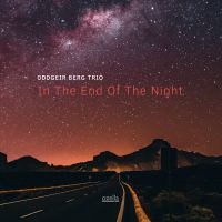 Berg Oddgeir (Trio) - In The End Of The Night ryhmässä CD @ Bengans Skivbutik AB (3515001)