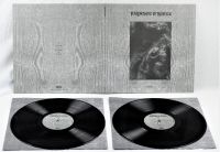 Paysage D'hiver - Steineiche (2 Lp Vinyl) ryhmässä VINYYLI @ Bengans Skivbutik AB (3519921)