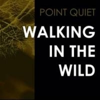 Point Quiet - Walking In The Wind ryhmässä VINYYLI @ Bengans Skivbutik AB (3522497)