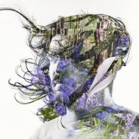 Bibio - Ribbons ryhmässä ME SUOSITTELEMME / Årsbästalistor 2019 / Årsbästa 2019 Gaffa @ Bengans Skivbutik AB (3530698)