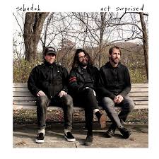 Sebadoh - Act Surprised (Col.Vinyl) ryhmässä ME SUOSITTELEMME / Joululahjavinkki: Vinyyli @ Bengans Skivbutik AB (3533088)