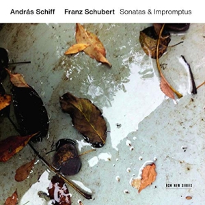 Schubert Franz - Sonatas & Impromptus ryhmässä CD @ Bengans Skivbutik AB (3546828)