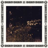 Davachi Sarah - Pale Bloom ryhmässä VINYYLI @ Bengans Skivbutik AB (3555433)