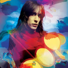 Todd Rundgren - The Complete U.S. Bearsville & Warner Br ryhmässä VINYYLI @ Bengans Skivbutik AB (3555965)