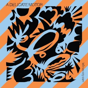 A Delicate Motor - Fellover My Own ryhmässä VINYYLI @ Bengans Skivbutik AB (3558542)