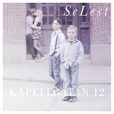 Selest - Kapellgatan 12 ryhmässä ME SUOSITTELEMME / Joululahjavinkki: Vinyyli @ Bengans Skivbutik AB (3563250)