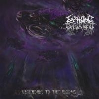 Euphoric Defilement - Ascending To The Worms ryhmässä CD @ Bengans Skivbutik AB (3636569)