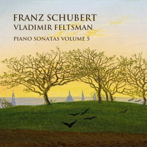 Schubert Franz - Piano Sonatas, Vol. 5 ryhmässä CD @ Bengans Skivbutik AB (3637453)