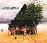 Schmidt Danny - Instead The Forest Rose To Sing ryhmässä CD @ Bengans Skivbutik AB (3642603)