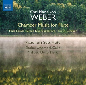 Weber C M Von - Chamber Music For Flute ryhmässä ME SUOSITTELEMME / Joululahjavinkki: CD @ Bengans Skivbutik AB (3651185)