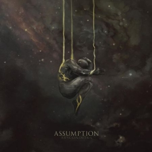 Assumption - Absconditus ryhmässä VINYYLI @ Bengans Skivbutik AB (3654240)