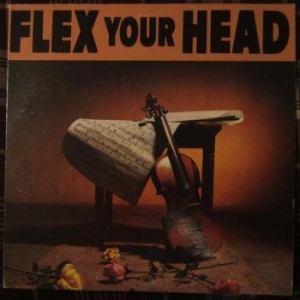 V/A - Indie Rock - Flex Your Head ryhmässä VINYYLI @ Bengans Skivbutik AB (3656186)