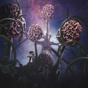 Blut Aus Nord - Hallucinogen (2 Lp Vinyl) ryhmässä VINYYLI @ Bengans Skivbutik AB (3657155)