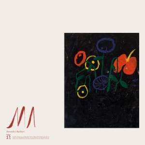 Devendra Banhart - Ma ryhmässä CD @ Bengans Skivbutik AB (3658279)