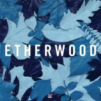 Etherwood - Blue Leaves ryhmässä CD @ Bengans Skivbutik AB (3659197)