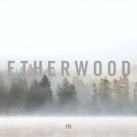 Etherwood - In Stillness ryhmässä VINYYLI @ Bengans Skivbutik AB (3662089)