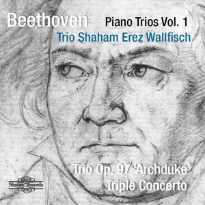 Beethoven Ludwig Van - Piano Trios Vol. 1: Archduke Trio & ryhmässä ME SUOSITTELEMME / Joululahjavinkki: CD @ Bengans Skivbutik AB (3665962)