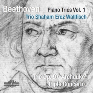 Beethoven Ludwig Van - Piano Trios Vol. 1: Archduke Trio & ryhmässä CD @ Bengans Skivbutik AB (3665962)