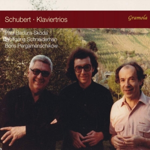 Schubert Franz - Piano Trios ryhmässä CD @ Bengans Skivbutik AB (3665994)