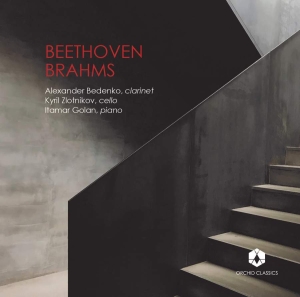 Beethoven Ludwig Van Brahms Joha - Clarinet Trios ryhmässä CD @ Bengans Skivbutik AB (3666008)