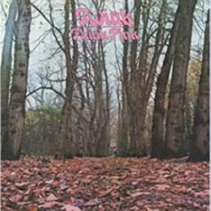 Twink - Twink Pink ryhmässä VINYYLI @ Bengans Skivbutik AB (3675562)