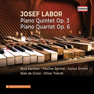 Labor Josef - Piano Quintet Op. 3, Piano Quartet ryhmässä ME SUOSITTELEMME / Joululahjavinkki: CD @ Bengans Skivbutik AB (3676740)