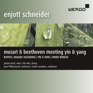 Schneider Enjott - Mozart & Beethoven Meeting Yin & Ya ryhmässä Externt_Lager / Naxoslager @ Bengans Skivbutik AB (3677084)