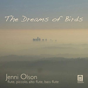 Olson - The Dreams Of Birds ryhmässä ME SUOSITTELEMME / Joululahjavinkki: CD @ Bengans Skivbutik AB (3677210)